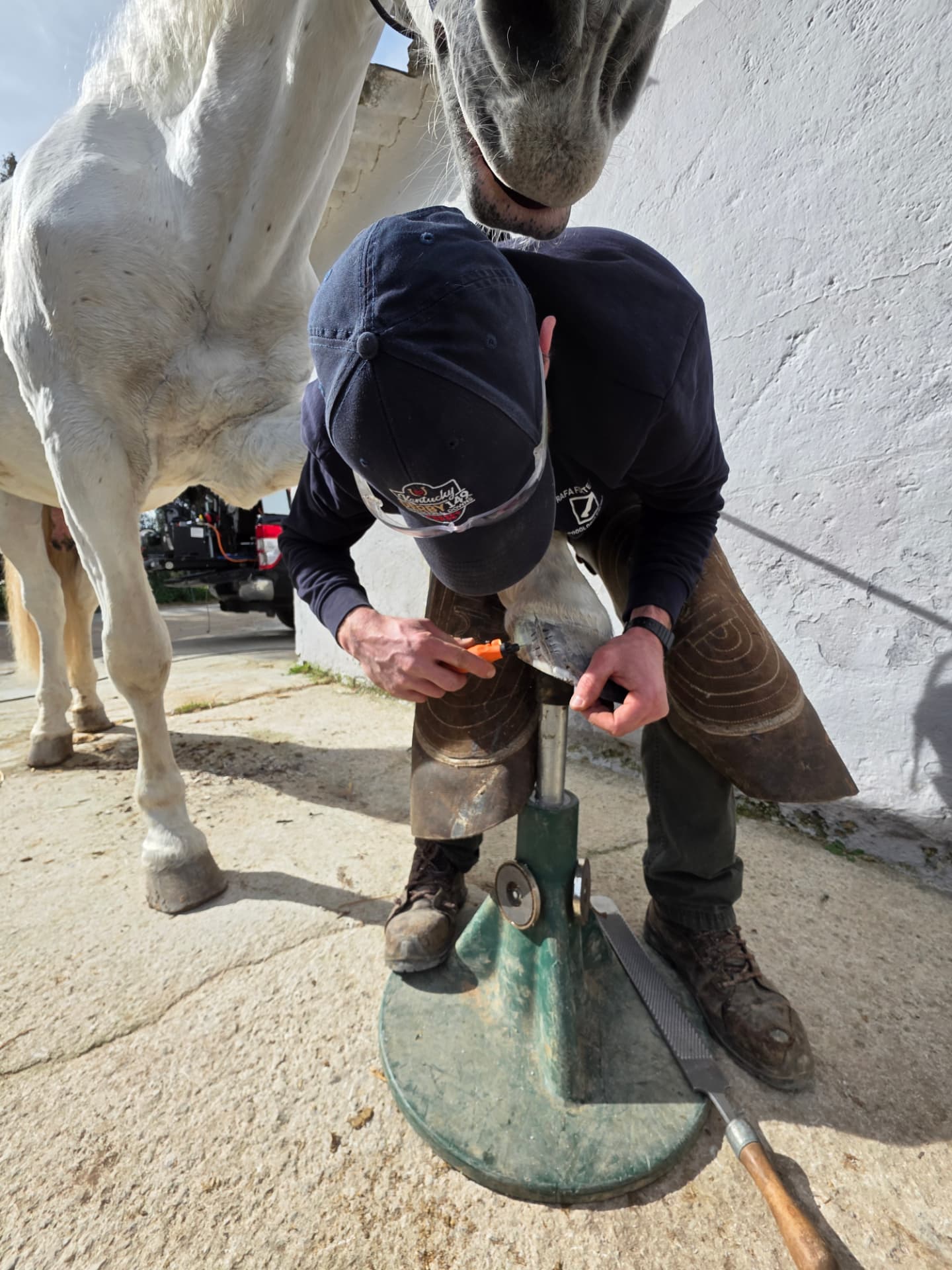Farrier preparing a hoof on a hoof stand