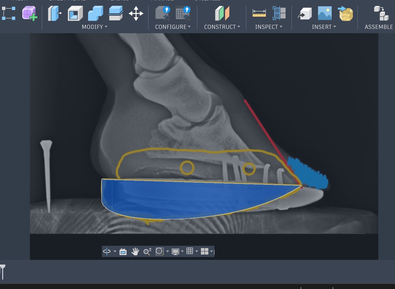 Lateromedial hoof radiograph used to design the custom 3D horseshoe for laminitis