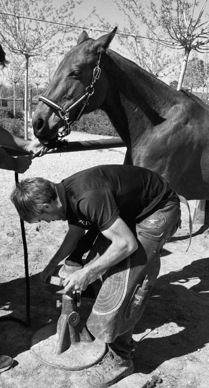 Farrier working on a horse hoof, black and white